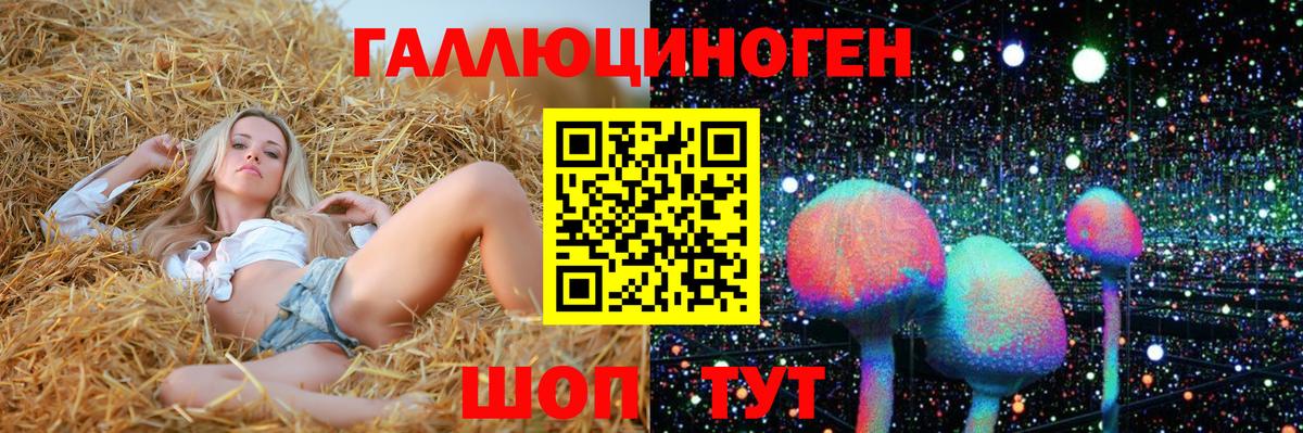Белая Калитва  Галлюциногенные грибы GOLDEN TEACHER  Вход с VPN 